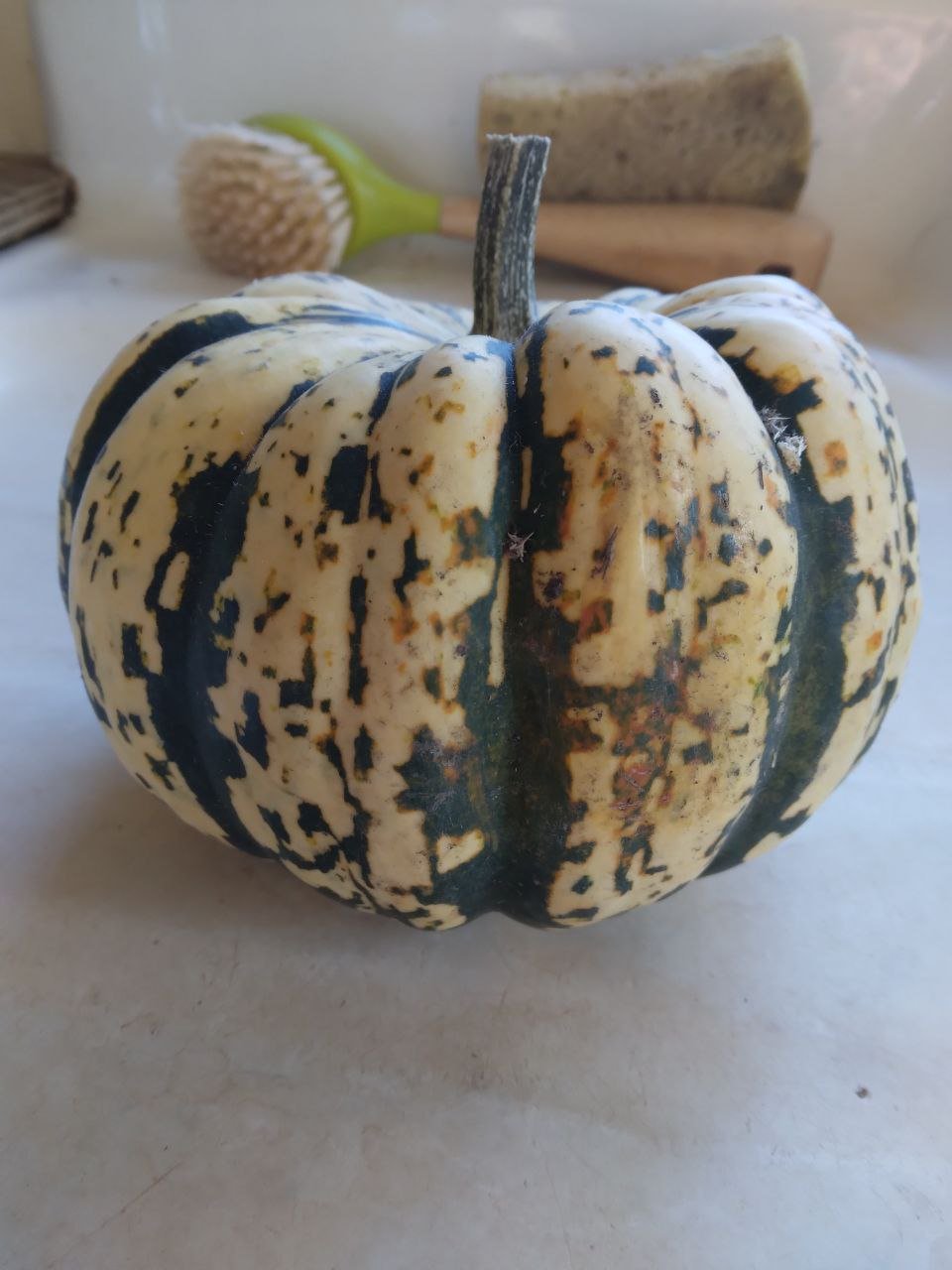 dirty carnival squash